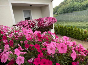 Garni San Paolo Appiano Sulla Strada Del Vino
